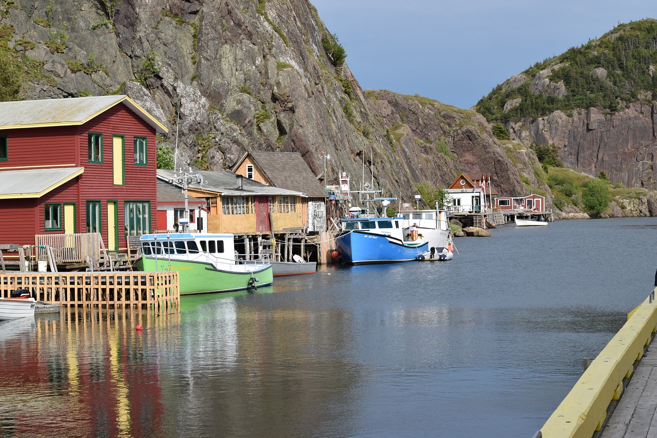 newfoundland-5084438_1280